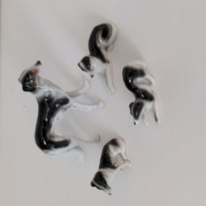 VTG Borzoi/Sighthound Family